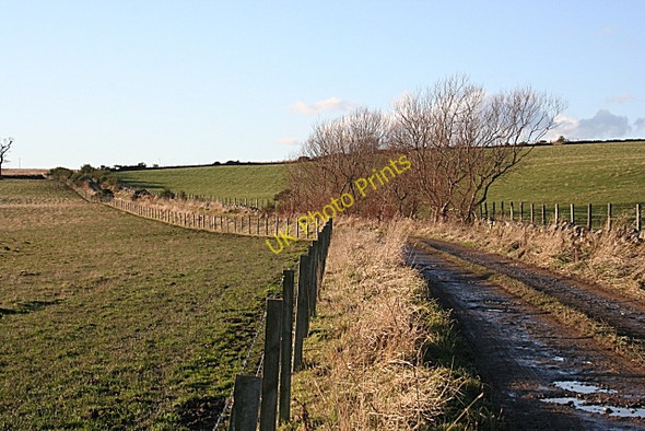 Photo 6"x4" Track to Hill of Clyne Sittyton c2008