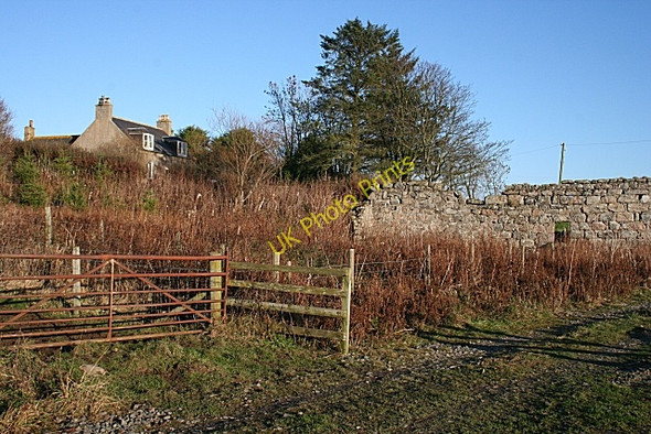 Photo 6"x4" Clyne Farm Sittyton c2008