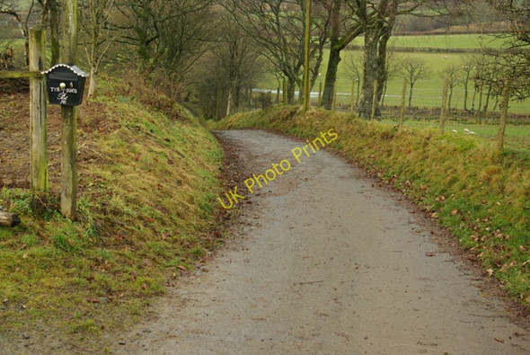 Photo 6"x4" Road to Ty'n-y-Rhos Llangammarch Wells c2008