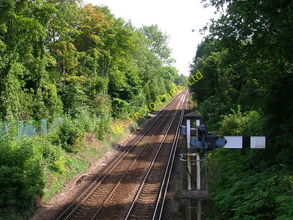 Photo 6"x4" Arun Valley Line Pulborough c2007