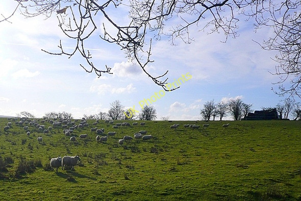 Photo 6"x4" Pasture near Pye Corner Llandegley c2008