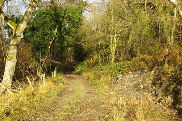 Photo 6"x4" Bridleway continues north Builth Wells\/Llanfair-Ym-Muallt c2008