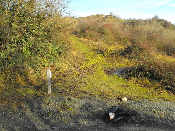 Photo 6"x4" The bridleway goes north Builth Wells\/Llanfair-Ym-Muallt c2008