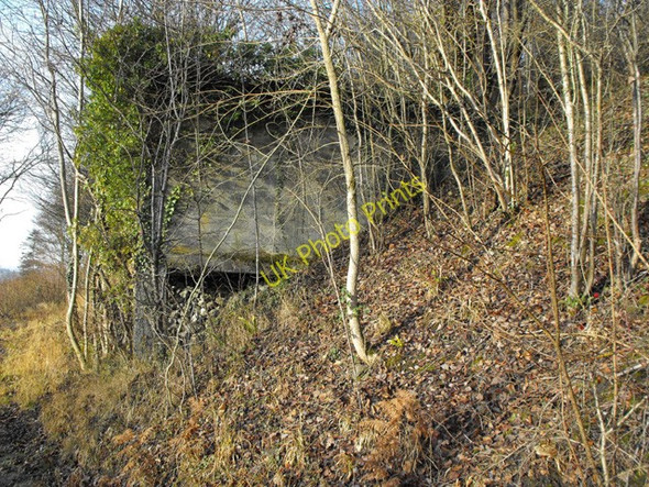 Photo 6"x4" Old Workings on the Bridleway Builth Wells\/Llanfair-Ym-Muallt c2008