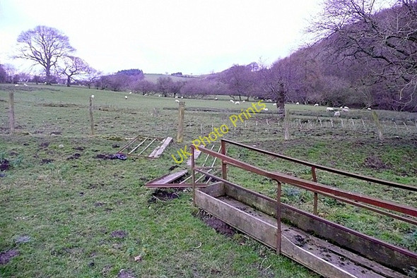 Photo 6"x4" Pasture near The Wern Farm Camnant\/SO0956 c2008