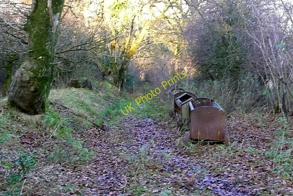 Photo 6"x4" Bridleway past Neuadd Birches Disserth c2008