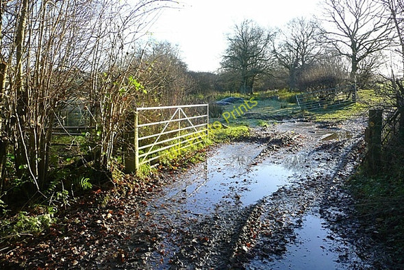 Photo 6"x4" Track near Rheol Cwmbach Llechrhyd c2008