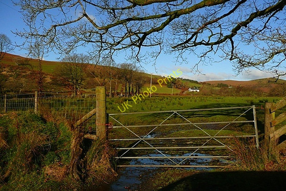 Photo 6"x4" Towards Troedrhiw Beulah\/SN9251 c2008