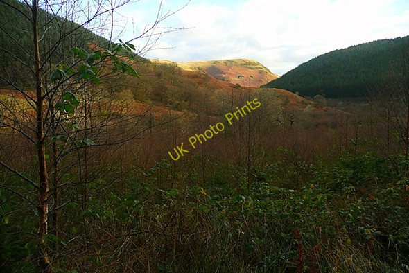 Photo 6"x4" East along Cwm Cammarch Lan Isaf c2008