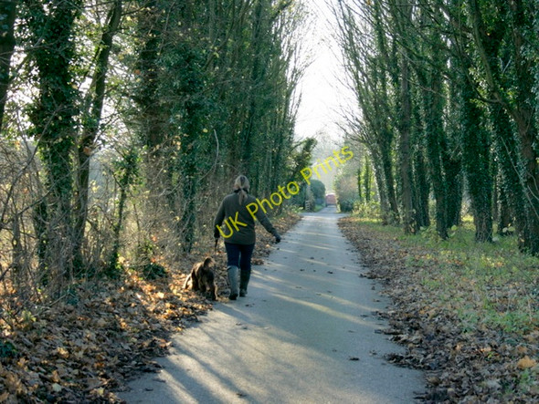 Photo 6"x4" 2008 : Middlewick Lane, Corsham Middlewick\/ST8571 c2008