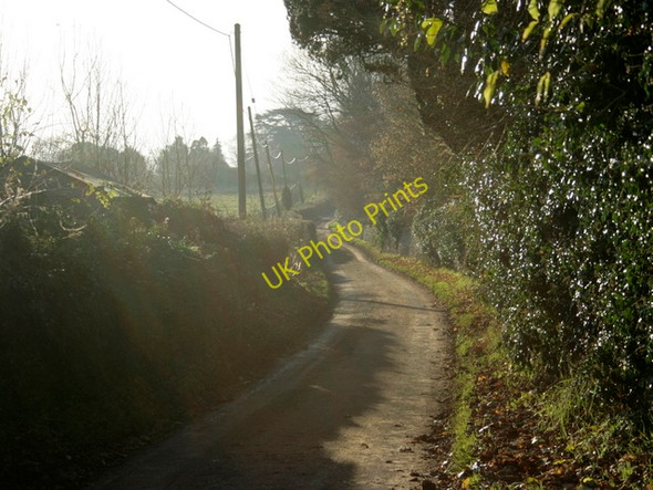 Photo 6"x4" 2008 : Middlewick Lane at Middlewick Corsham c2008