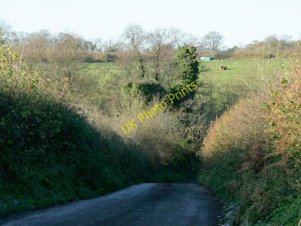 Photo 6"x4" 2008 : Lane to Lipyeate Coleford\/ST6849 c2008