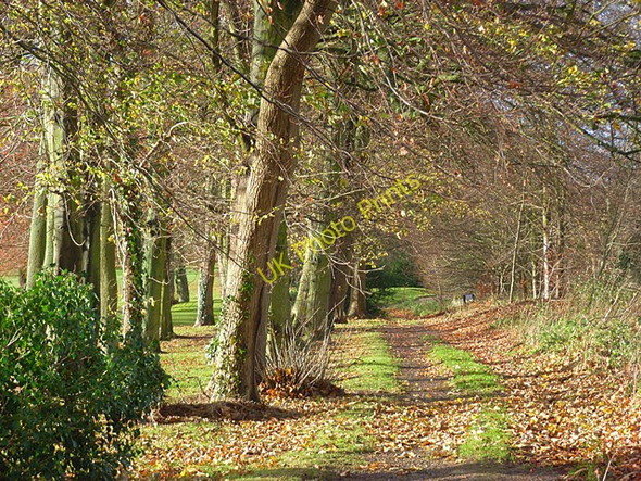 Photo 6"x4" Footpath by the golf course, Badgemore Henley-on-Thames c2008