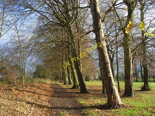 Photo 6"x4" Footpath by the golf course, Badgemore Henley-on-Thames c2008