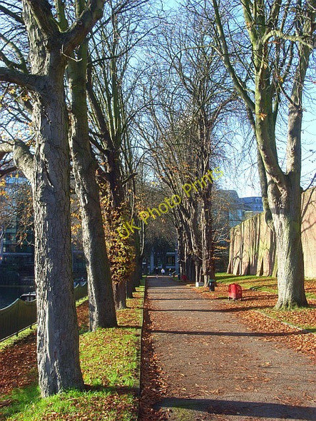 Photo 6"x4" Chestnut Walk, Reading Reading c2008