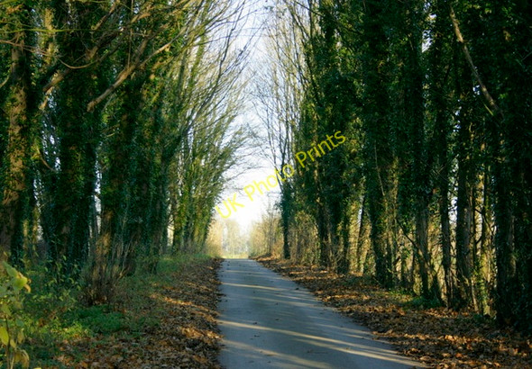 Photo 6"x4" 2008 : Middlewick Lane near Upper  Pickwick Middlewick\/ST8571 c2008
