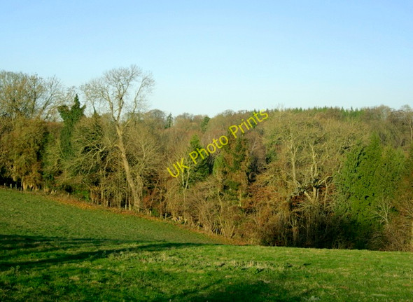 Photo 6"x4" 2008 : Prestley Wood Middlewick\/ST8571 c2008