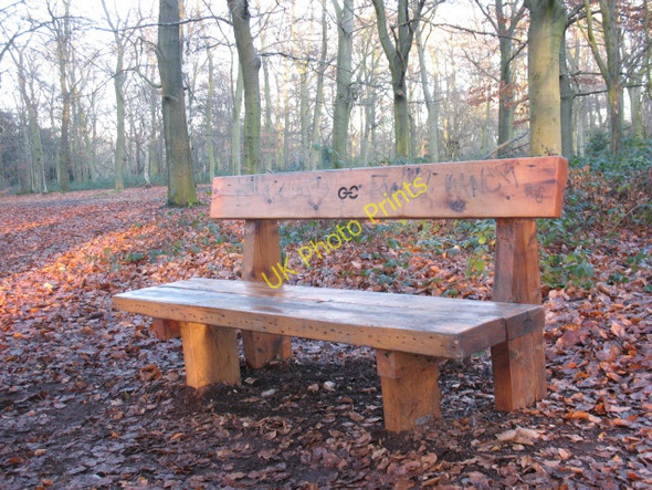 Photo 6"x4" Green Chain bench Bexley c2008