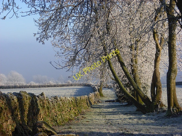 Photo 6"x4" Footpath at Newbiggin Newbiggin\/NY4729 c2008