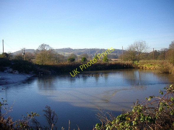 Photo 6"x4" Ducks on ice, Brockbury Hall, Colwall Barton Court\/SO7440 c2008