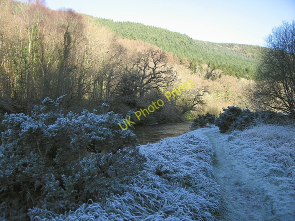 Photo 6"x4" Island in the Afon Ystwyth, Grogwynion Llanafan c2008