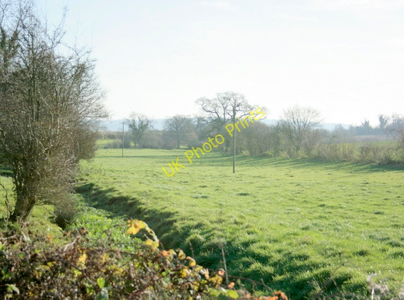 Photo 6"x4" 2008 : Pasture near Stowell Farm Cross Keys\/ST8771 c2008