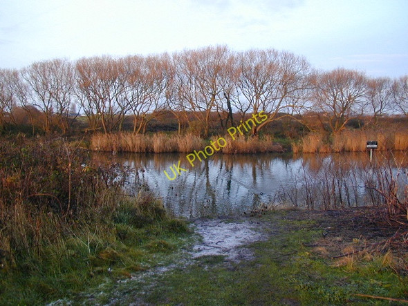 Photo 6"x4" Swan Lake, Milton Common Portsmouth\/SU6501 c2008