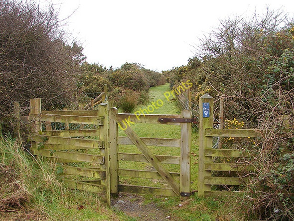 Photo 6"x4" Footpath to the dunes Llandanwg c2008