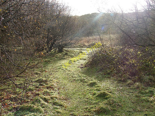 Photo 6"x4" Track between Llanbedr Airfield and the dunes of Morfa Dyffryn Llanbedr\/SH5826 c2008
