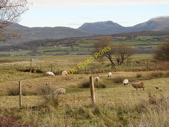 Photo 6"x4" Farmland beside Llanbedr Airfield Llanbedr\/SH5826 c2008