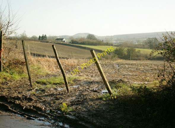 Photo 6"x4" 2008 : From Little Keyford Lane Frome c2008