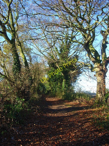 Photo 6"x4" Bridleway, Ewelme Oakley Court c2008