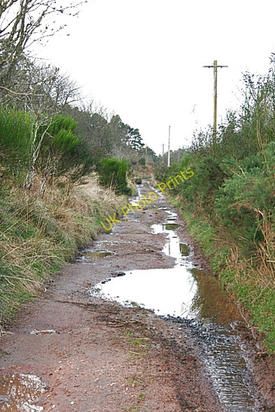 Photo 6"x4" Muddy Track Kirkton of Oyne c2008