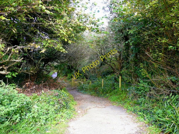Photo 6"x4" South West Coastal Path Wanson c2008