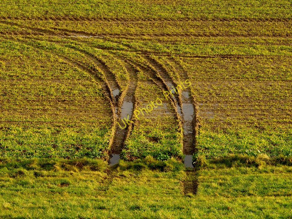 Photo 6"x4" Tyre Marks in the Mud Paull c2008