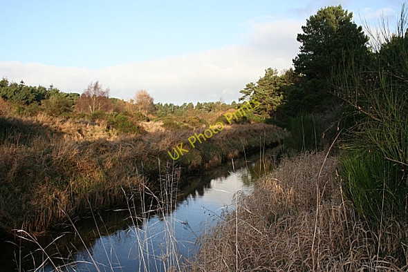 Photo 6"x4" Innes Canal Windyridge\/NJ2367 c2008