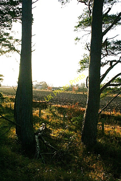 Photo 6"x4" Near Inchbroom Windyridge\/NJ2367 c2008