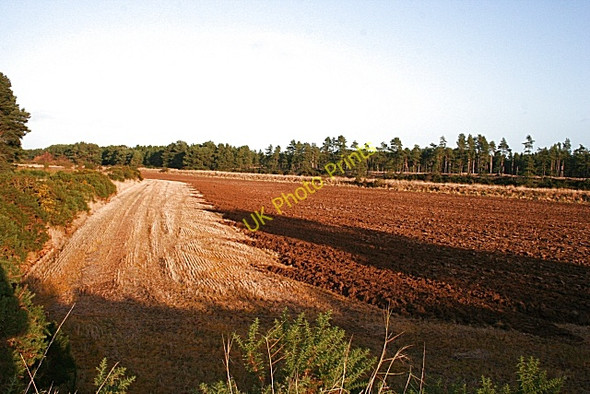 Photo 6"x4" Fields near Arthur's Bridge Windyridge\/NJ2367 c2008