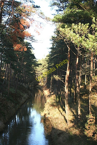Photo 6"x4" Spynie Canal Lossiemouth c2008