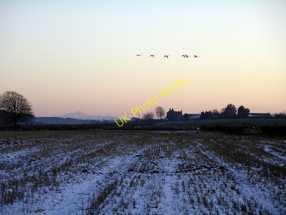 Photo 6"x4" Field near Castle Loch Lochmaben c2008