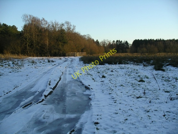 Photo 6"x4" Frozen track near Castle Loch Lochmaben c2008