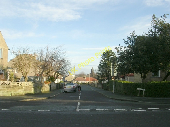 Photo 6"x4" Hawes Grove - Carr Bottom Road Bradford\/SE1632 c2008