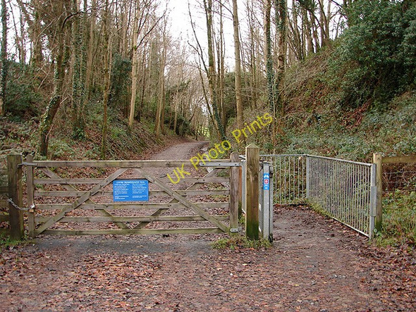 Photo 6"x4" Access to the Penmaenpool to Arthog section of the Mawddach Trail Penmaenpool c2008
