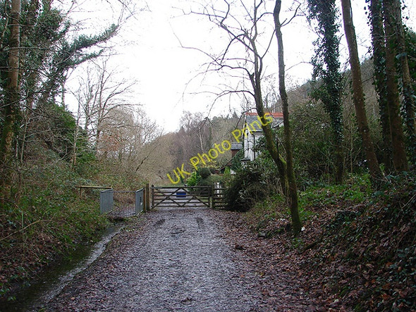 Photo 6"x4" The Mawddach Trail as it leaves Penmaenpool Penmaenpool c2008