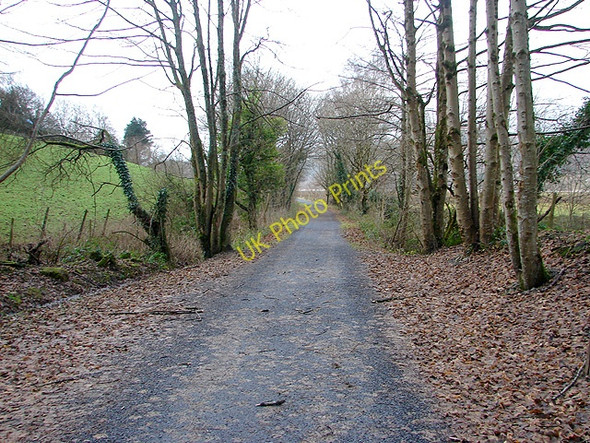Photo 6"x4" The Mawddach Trail looking westwards Penmaenpool c2008