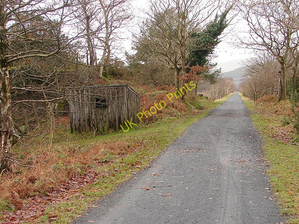 Photo 6"x4" Surviving platelayer hut beside the Mawddach Trail Hawddamor c2008