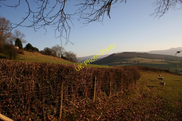 Photo 6"x4" Towards Coed Fenni-fach Battle\/SO0030 c2008