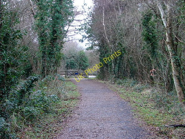 Photo 6"x4" The Mawddach Trail at Morfa Mawddach Barmouth\/Abermaw c2008