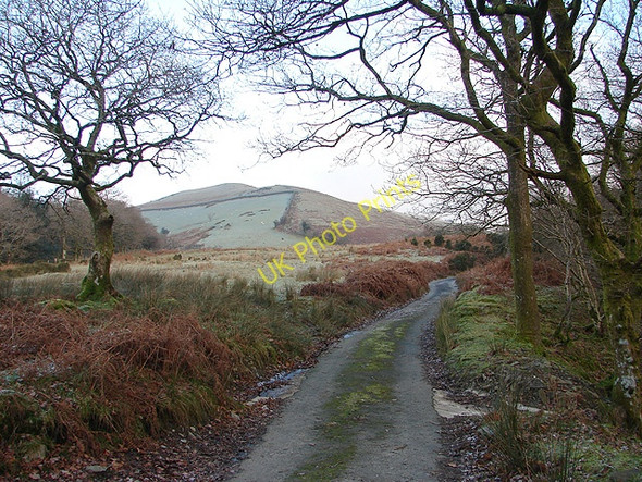 Photo 6"x4" Farm Track in Cwm-Llinau Cwm-Llinau c2008