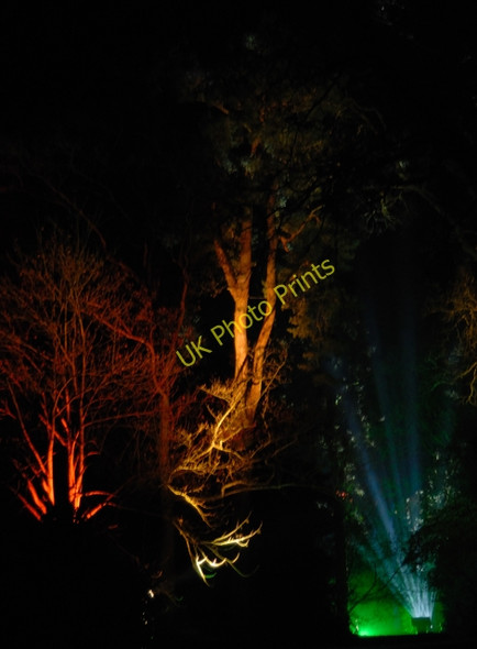 Photo 6"x4" Enchanted Christmas Westonbirt c2008